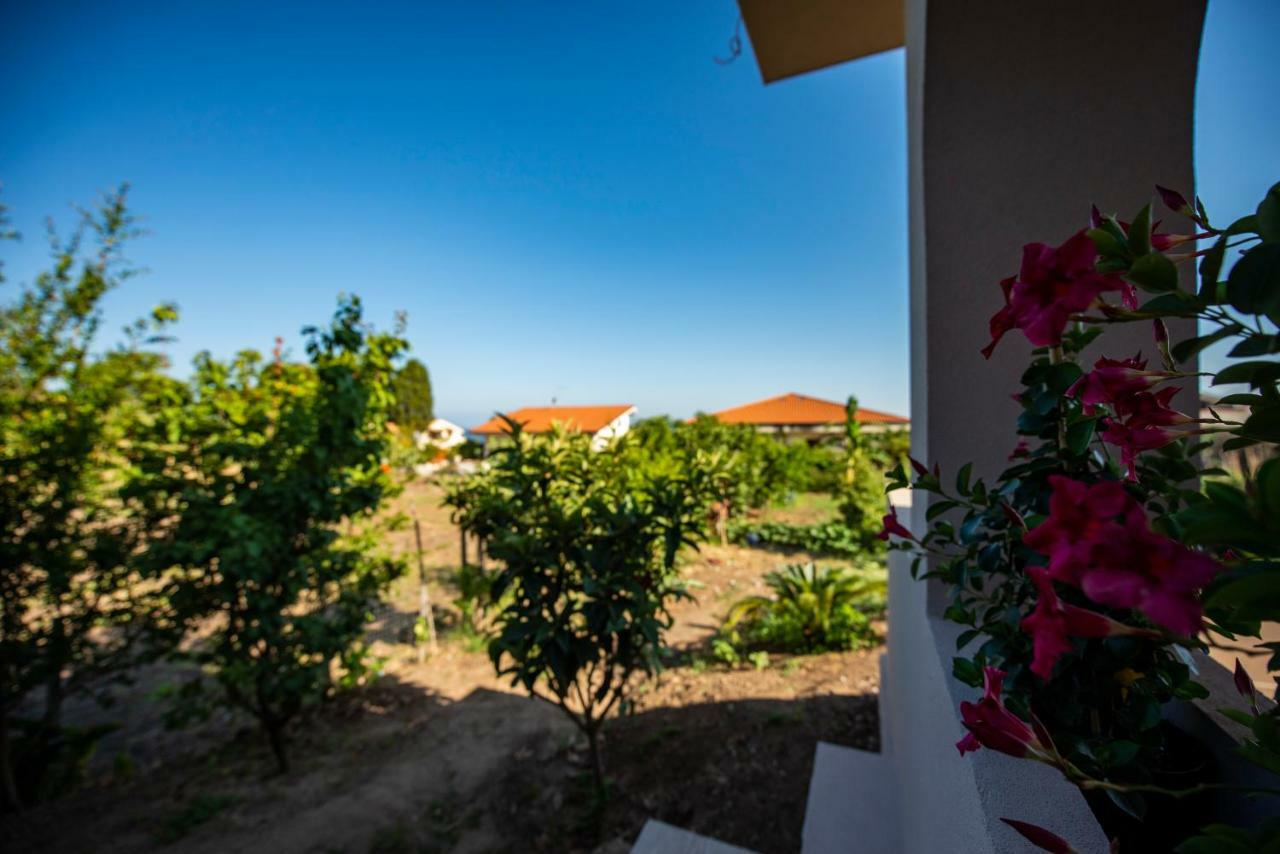 Michelino House Panzió Parghelia Kültér fotó